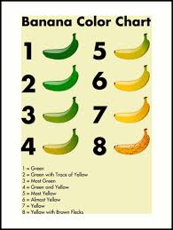 Banana Color Chart Art Print By Enjoyriot