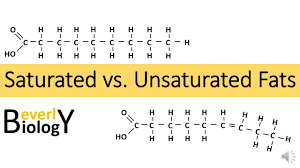 saturated vs unsaturated fats you