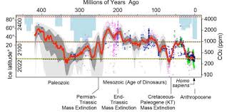 you asked dinosaurs survived when co2