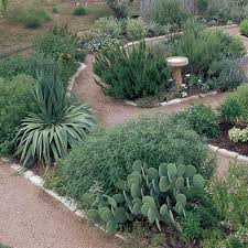 The Herb Garden Redefined Finegardening
