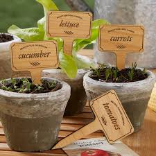 Vegetable Garden Personalized Plant
