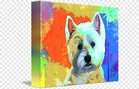 8in x 10in frolic in the snow (westie west highland terrier) print of original oil painting printed on unstretched canvas or heavy weight water color paper each print has a white border around it so that it can be mounted on a panel or stretcher bars for framing or can be framed as is in a regular frame with matt and glass. Race De Chien West Highland White Terrier Cairn Terrier Peinture Acrylique Peinture Carnivore Chien Comme Un Mammifere Png Pngegg