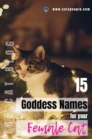 I created this article on celtic goddess names and meanings because i got an email from a woman who did one of those dna tests. 15 Goddess Names For Female Cats In 2020 Cat Names Goddess Names Cat Parenting