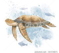 Sea Turtle With Fishes And Watercolor
