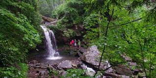 top smoky mountain hikes for beginners
