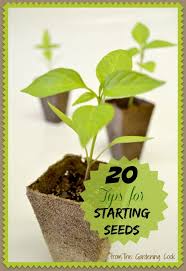 Seed Starting Seeds Gardening Tips