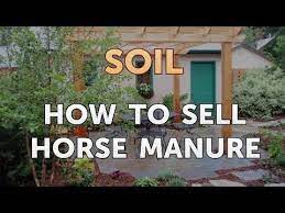 how to sell horse manure you