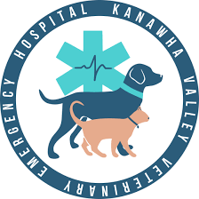 Every day people are looking for emergency vets in their local area. Kanawha Valley Veterinary Emergency Hospital For After Hours Veterinary Emergencies In Charleston Wv