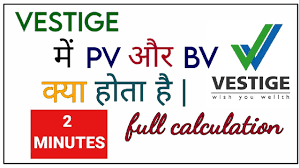 vestige pv and bv calculation vestige