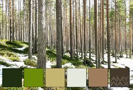 Nature S Color Palettes Looking To Our