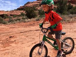 5 Best Bikes For Your 4 To 6 Year Old 16 Inch Bikes 2019