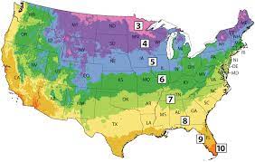 usda zone map finder michigan bulb