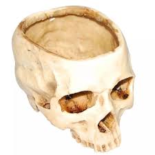 resin crafts skull head home office