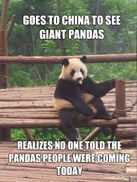 goes to china to see giant pandas