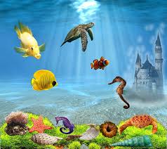 aquarium 3d s creatures fish