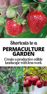 how to start a permaculture garden for