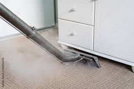steam carpet cleaning of carpets in a