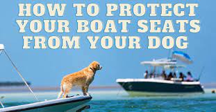 Protect Your Boat Seats From Your Dog