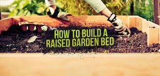 Build And Plant A Raised Garden Bed