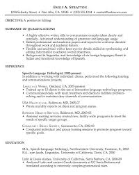 Resume Writing for IT Jobs  Where and How to List Your Technical            Cool What To Write On A Resume Examples Of Resumes    