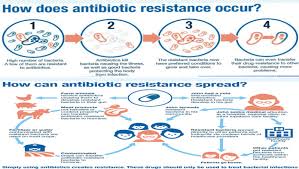 Hati-hati! Sebelum Terapi Antibiotik, Pahami Dulu Tentang Resistensi  Antibiotik
