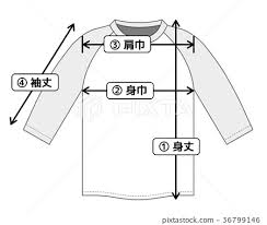 Raglan T Shirt Image Chart For Size Chart And Stock