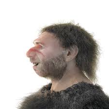 Neanderthal Images – Browse 31,462 Stock Photos, Vectors, and Video | Adobe  Stock