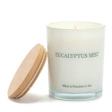 Highly Scented Candle In Frosted Glass