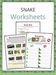 Snake Facts Worksheets Habitat Information For Kids