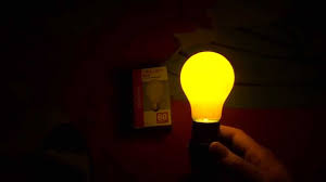 Sunbeam 60watt Bug Light Yellow Bulbs Youtube