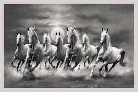 7 horses wallpapers top free 7 horses