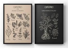 Herb Garden Posters Home Decor