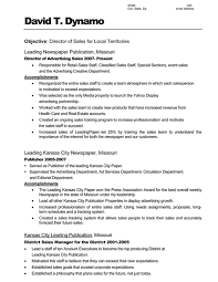Consultant Resume Example for a Senior Manager