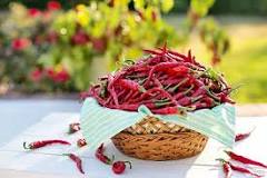 Image result for chilli and health