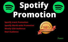 24 Best Viral Spotify Services To Buy Online Fiverr