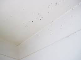 It's tricky to paint a ceiling, even for professional painters like us. How To Get Rid Of Mould On Ceilings Repaint Pro