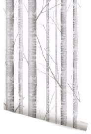 Birch Tree Wallpaper 24