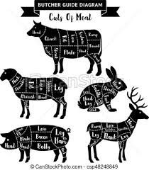 Butcher Guide Cuts Of Meat Diagram Vector Illustrations
