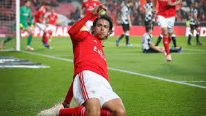 Image result for joao felix