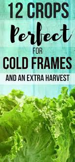 cold frames planting guide