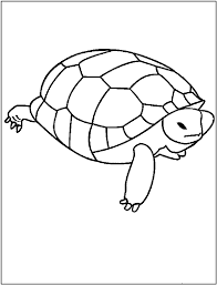 Start with a solid colored background. Free Printable Turtle Coloring Pages For Kids