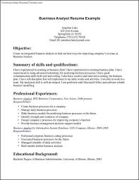 Business Resume Template Word  Ceo Resume Template Word   Best    