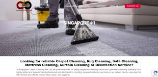 18 best carpet cleaning services to