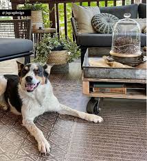 pet friendly rugs for cat dog