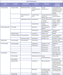 Taxonomy Of Clinically Relevant Microorganisms Microbiology