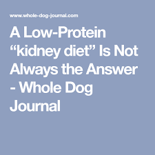 Green beans can be good sometimes, too, she adds. A Low Protein Kidney Diet Is Not Always The Answer Whole Dog Journal Low Protein Diet Kidney Diet Diet