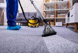 about our reble carpet cleaning in