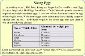 Everything Worth Knowing About Chicken Eggs Backyard Poultry