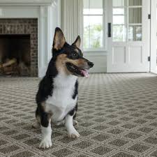 top 10 best carpet s in columbus