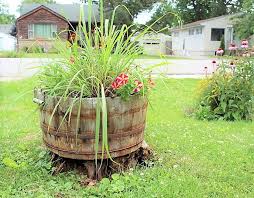 Container Gardening With Flowers And